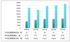 2019年澳门博彩行业运营发展简报；博彩行业撑起澳门经济的半壁江山[图]