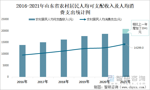 2016-2021年山东省农村居民人均可支配收入及人均消费支出统计图