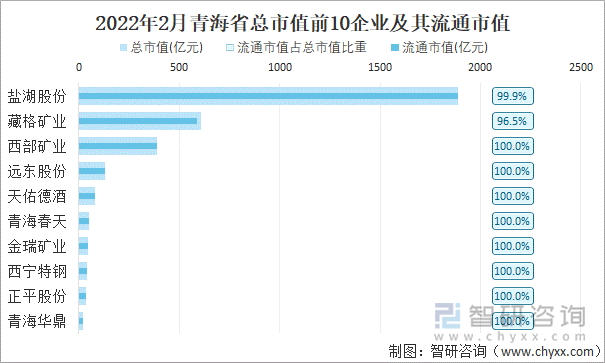 2022年2月青海省A股上市总市值前10强企业及其流通市值