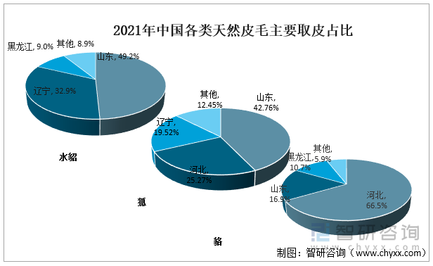 2021年中国各类天然皮毛主要取皮占比