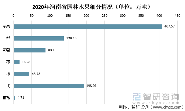 2020年河南省园林水果细分情况（单位：万吨）