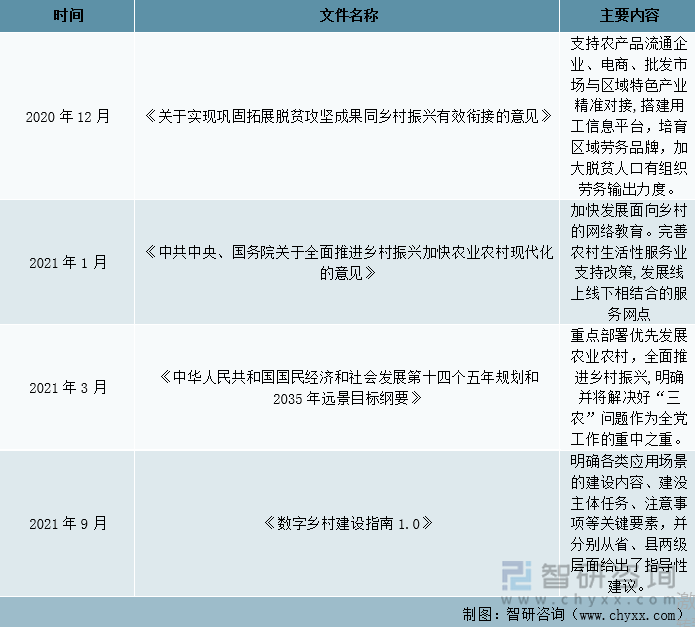 2021年数字乡村的国家政策