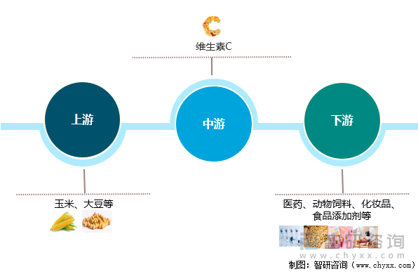 维生素C产业链