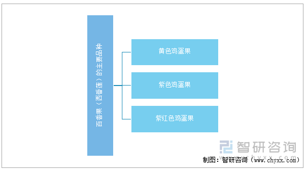 百香果（西番莲）的主要品种