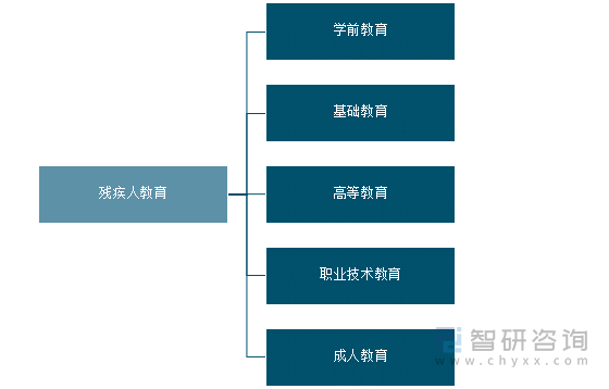 残疾人教育分类