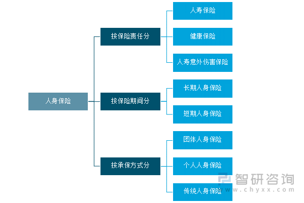 人身保险分类