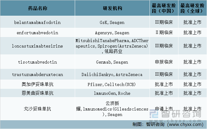 全球抗体偶联药物进入了黄金时代