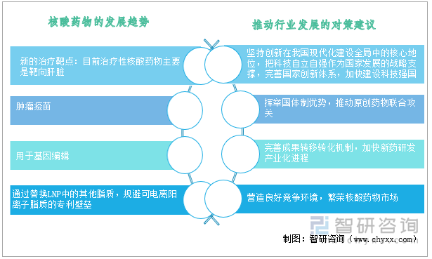 核酸药物以其疗效显著、开发周期短成为临床用药和新药市场的热点。我国原创新药起步较晚，当前新药获批上市不多，但依托国内顶尖研究力量和一大批创新型研发企业砥砺奋进，已有多款新药处于临床试验和临床前阶段。2021年，我国开启“十四五”踏上新征程，面向人民生命健康的重大需求，围绕核酸药物前沿关键技术难点，汇聚企业、高校和科研院所等多元创新主体的强大力量，围困我国核酸药物研发的靶向性差、脱靶效应和稳定性差等瓶颈问题有望加快解决。核酸药物的发展趋势及推动行业发展的对策建议