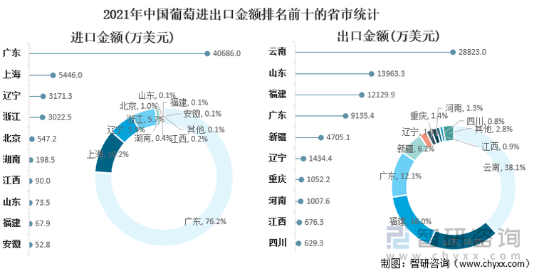 2021年中国葡萄进出口金额排名前十的省市统计