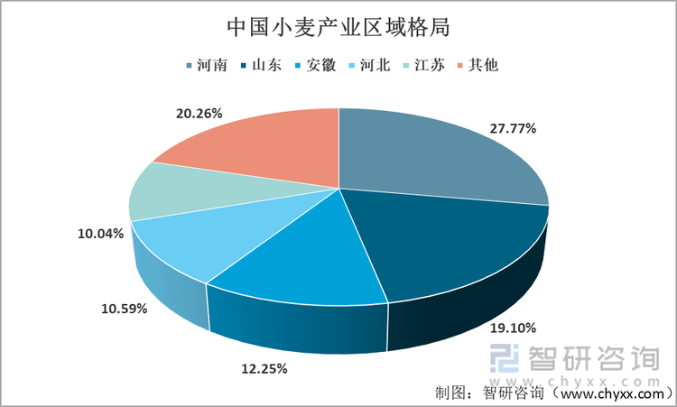 2021年中国小麦产业区域格局