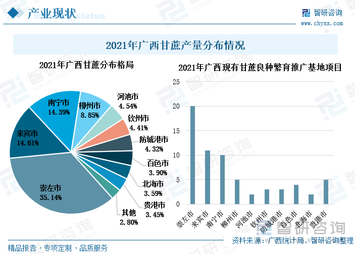 广西甘蔗的主产区主要分布在崇左市、来宾市和南宁市。2021年崇左市甘蔗产量占到广西甘蔗产量的35.14%，占到全国甘蔗产量的24.03%。崇左市的甘蔗产量及蔗糖产量位居全国地级市首位，制糖深加工技术也处于全国领先地位，2011年中国轻工业联合会授予崇左市“中国糖都”的称号。崇左市还拥有广西最多的甘蔗两种繁育推广基地，2021年，崇左市已有20个甘蔗两种繁育推广基地，其次是来宾市和南宁市，分别有11个和10个甘蔗良种繁育推广基地。