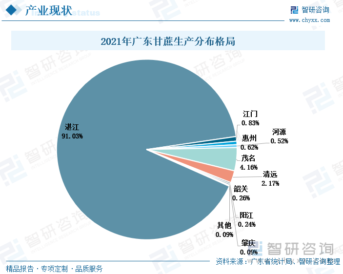 湛江市是广东甘蔗主产区，2021年湛江甘蔗产量占到广东省甘蔗产量的91.03%。湛江位于广东省南部的雷州半岛，地势低，耕地面积多，适合甘蔗的大量种植。2021年湛江的甘蔗产量达到1070.69万吨，占全国甘蔗产量的10.04%。