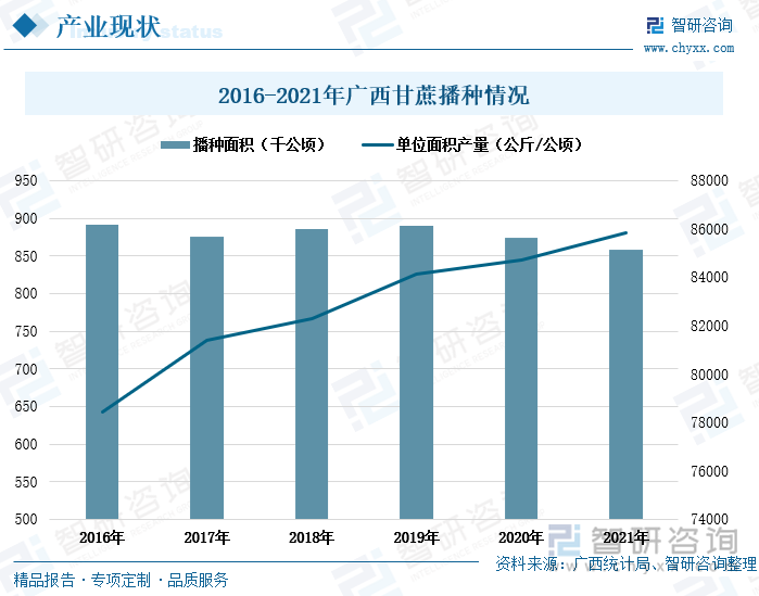 2016-2021年广西甘蔗播种面积整体上呈现出缓慢减少的趋势，2021年广西甘蔗播种面积为857.8千公顷，同比下降了1.94个百分点，下降幅度小。广西甘蔗的单位面积产量持续上升，2021年单位面积产量达到85860公斤/公顷，较全国平均单位面积产量高3924.37公斤。