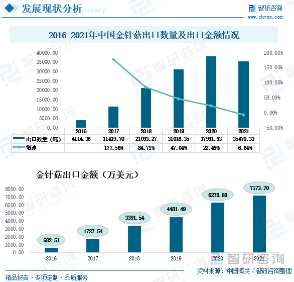 根据海关编码可知金针菇有新鲜金针菇和干金针菇之分，其中主要是以新鲜金针菇为主。近年来，我国的金针菇出口量远大于进口量，2016-2020年我国金针菇出口量逐年稳步增长，金针菇出口量由2016年的4144.36吨增长至2020年的37991.93吨，2021年我国金针菇出口量稍微有点下降，较2020年同比下降6.64%。相比金针菇的出口量，我国金针菇的进口量很小，进口地单一。韩国凭借在技术、设备以及规模化经营上的成本优势，以较低价格进入中国市场。2021年我国只从韩国进口了金针菇，其进口量为4146千克。从出口金额方面来看，我国金针菇的出口金额逐年稳定增长，2021年我国金针菇的出口金额为7173.7万美元，较2020年同比增长14.25%。