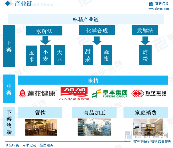 在行业产业链中，玉米、小麦等均可以作为味精产品的原材料，对于不同的原料，制作味精的方法也有所不同；目前，我国制作味精的上市公司主要有莲花集团、加加食品、阜丰集团等；味精产品的需求领域主要为食品加工业、餐饮业以及家庭消费。