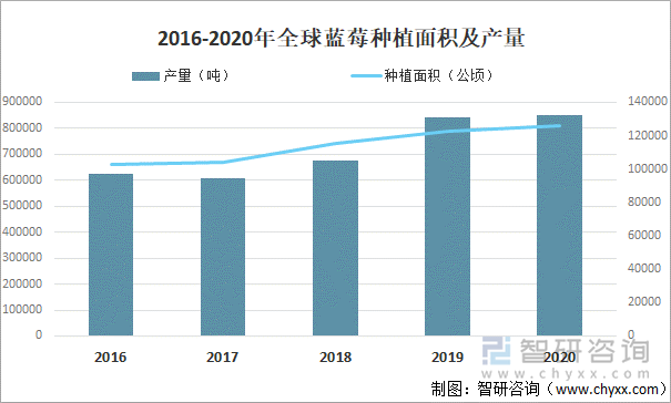 2016-2020年全球蓝莓种植面积及产量