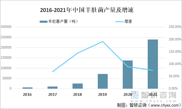 2016-2021年中国羊肚菌产量及增速