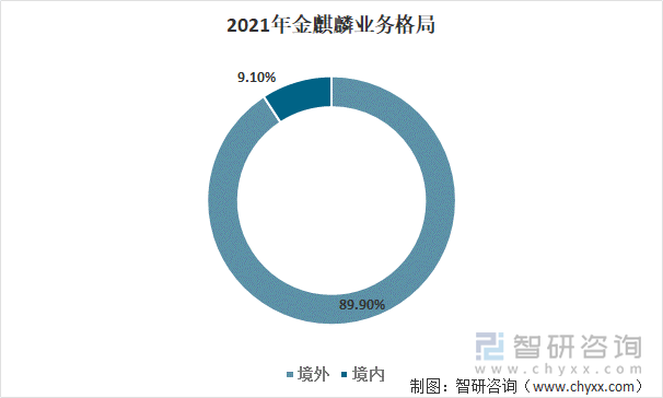 2021年金麒麟业务格局