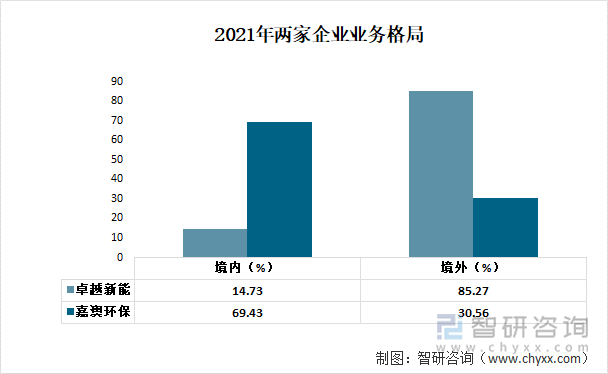 2021年两家企业业务格局