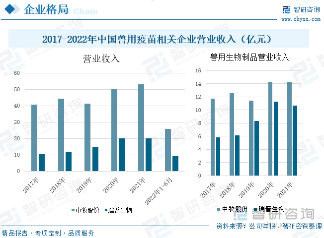 瑞普生物是一家服务于动物健康产业的高新技术企业，也是国家重大动物疫病防控疫苗生产企业。在2021年，兽用生物制品占公司营业收入的比重为53.28%，由此可见，兽用生物制品销售情况对该公司的营业收入有较大的影响。从总营业收入来看，2017-2021年间，公司的总营业收入处于不断增长的状态，到2022年1-6月，该公司的总营业收入为9.08亿元，其中，兽用生物制品在2017-2020年呈上升趋势，但在2021年，其营业收入为10.69亿元，较2020年下降4.84%。 