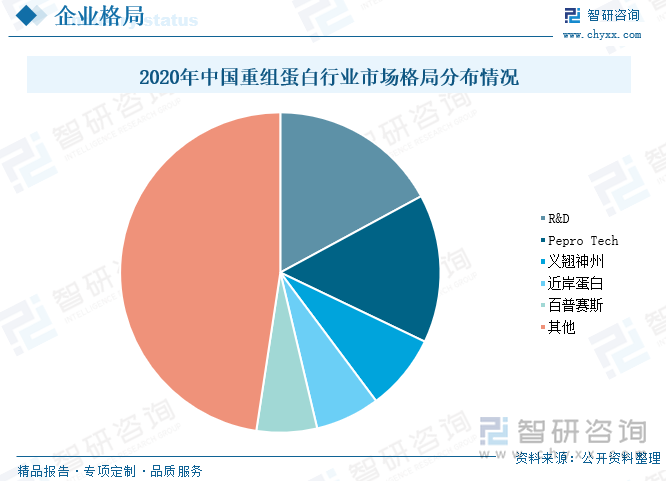 全球重组蛋白企业长期由国外品牌占据，国产企业市场占有率有较大的上升空间，占比最多的是美国的R&D公司，市场占有率为17.1%，其次是Pepro Tech，市场占有率为15%，国内企业在重组蛋白产品技术、质量和规模等方面与国外品牌存在较大差距。近年来，在国家相关政策的大力扶持下，我国生物科技产业发展迅速，技术进步显著，涌现了一些技术先进、具有竞争力的国内重组蛋白厂商。2020年近岸蛋白、义翘神州、百普赛斯3家主要国产厂商已经占据国内市场20.3%的份额，义翘神州、近岸蛋白和百普赛斯的市场占有率分别为7.7%、6.5%和6.1%。此外，国内生物制药、基因与细胞治疗、体外诊断、mRNA疫苗等下游应用领域快速发展，为重组蛋白国产替代创造良机。