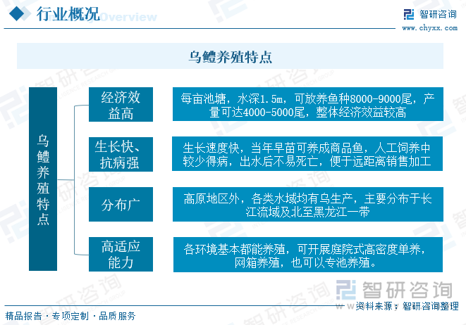 乌鳢，俗称黑鱼、乌鱼、乌棒、蛇头鱼，隶属鲈形目，鳢科，鳢属，属淡水底栖性鱼类，通常栖息于水草丛生或淤泥底质的水域。乌鳢具备营养价值高和分布广的特点，属于淡水鱼中较为名贵的品种，养殖产业中具备经济效益高，产量高、生长快、抗病强、高适应能力的特点，乌鳢历来畅销国内外市场，在东南亚各国市场需求日益增加，价格昂贵，成为我国外贸出口的重要水产品之一。目前国内乌鳢养殖主要以养殖池塘套养和池塘精养两种养殖模式为主，由于高密度养殖，加之乌鳢代谢物较多，水质容易破坏，国内中小养殖户效益优先，品种混乱，一定程度上影响乌鳢产品质量的同时也不利于产业的健康发展。