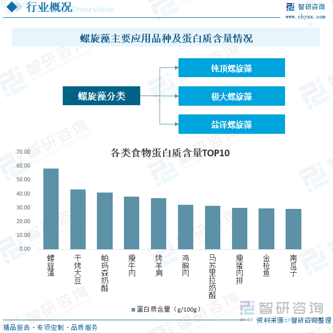 螺旋藻是自然界营养成分最丰富、最全面的生物。螺旋藻具有高蛋白、低脂肪、低糖、低胆固醇的特点，含有丰富、均衡的优质蛋白质及多种维生素、矿物质、叶绿素、γ-亚麻酸等不饱和脂肪酸和β-胡萝卜素等。一克螺旋藻的营养价值等于一千克蔬菜和水果的营养总和，是一种理想的纯天然生物活性健康食品。它含有人体不能合成的8种必需氨基酸，与动植物源食品相比，最接近FAO（联合国粮农组织）的推荐标准。