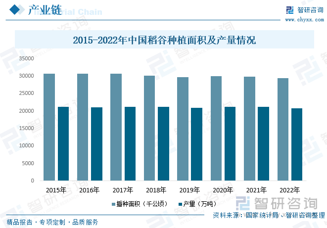 稻谷是大米深加工行业最重要的原材料，从稻谷播种面积来看，近几年由于稻谷价格持续走低，种植成本提高，农民种植积极性有所减弱，同时叠加耕地面积减少，劳动力短缺的营收，自2018年以来我国稻谷种植面积开始呈现下降的态势。2020年由于世界粮食危机逐渐显现，中国政府提出要严守耕地红线，使得中国稻谷播种面积有所回升，随后播种面积继续下降。据资料显示，2022年我国稻谷播种面积为29450千公顷，同比下降1.6%。从产量方面来看，虽然近年来我国稻谷播种面积持续下滑，但得益于种植技术水平的提升，使得我国稻谷单产水平不断增长，进而使得近年来我国稻谷产量基本趋于稳定，稳定在21000万吨左右。据资料显示，2022年我国稻谷产量为20849万吨，同比下降2%。