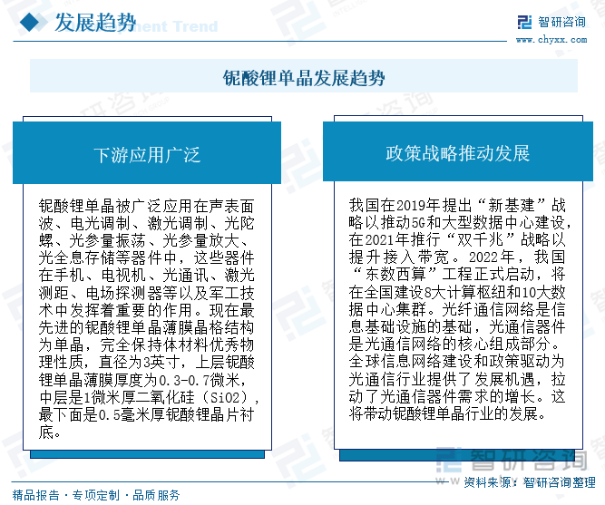 铌酸锂单晶在更高频率的滤波器方面研究的进展很快，材料和器件制备技术仍然表现出巨大的潜力。铌酸锂单晶集多种光电性能于一体且能够达到实用化性能要求，在光电材料中非常罕见。随着铌酸锂单晶集成光子学芯片理论、制备及应用等核心技术的发展与完善，铌酸锂单晶成为光子时代的“光学硅”材料，为集成光子学的发展提供战略性基础支撑。