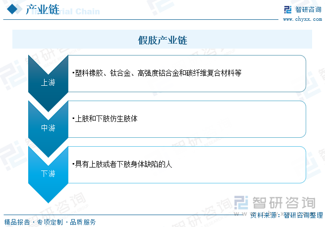 假肢产业链情况而言，随着仿生领域相关研究和材料技术持续推进，假肢原材料已经从早期铝材、木材等，逐步转向塑胶、钛合金和碳素纤维材料等，但整体成本和价格皆有明显上升；中游主要为假肢的生产，由于实际患者假肢需求长度和大小差距，中高端产品主要以定制为主，进一步提升成本；下游假肢应用较为单一，但对于身体缺陷的人基本属于必需品。