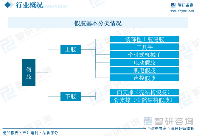 假肢就是用工程技术的手段和方法，为弥补截肢者或肢体不完全缺损的肢体而专门设计和制作装配的人工假体，又称“义肢”。它的主要作用是代替失去肢体的部分功能，使截肢者恢复一定的生活自理和工作能力。其适用对象是因疾病、交通事故、工伤事故、运动创伤等原因的截肢者。假肢按照可分为上肢和下肢部分，技术和实际要求区别较大，下肢技术要求相对上肢作用相对简单，上肢目前主要需求和应用仍主要以装饰性假肢为主，电动假肢和肌电假肢等产品仍在实际生活中存在不适应等问题，且高昂的费用也在一定程度上阻碍市场需求增长。