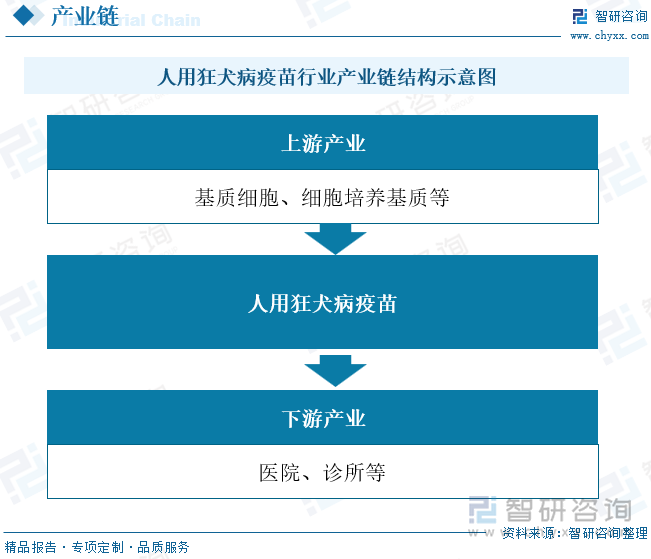 人用狂犬病疫苗行业产业链结构示意图