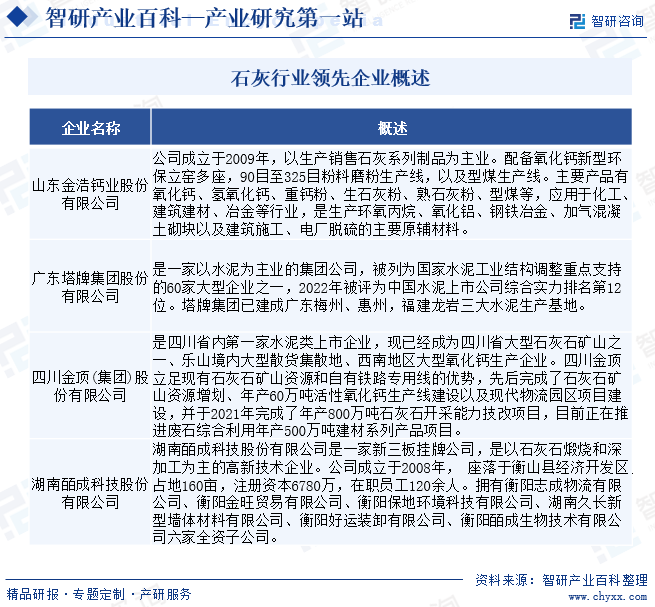 石灰行业领先企业概述