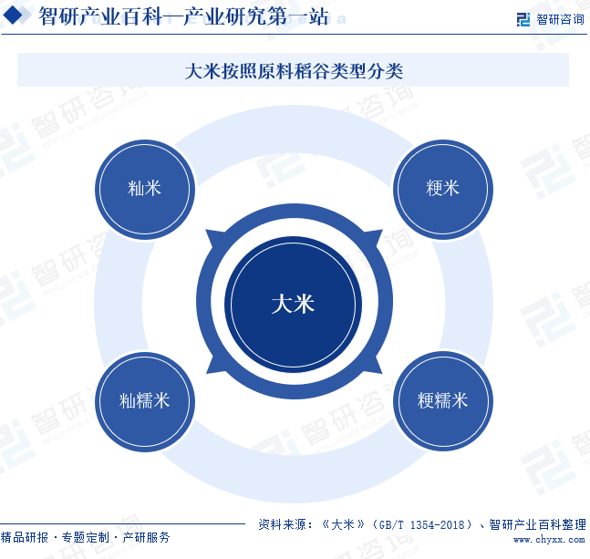 大米按照原料稻谷类型分类