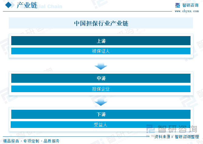 中国担保行业产业链