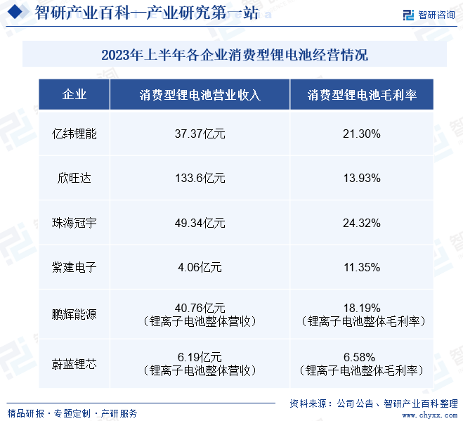 2023年上半年各企业消费型锂电池经营情况