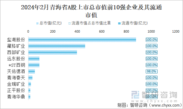 2024年2月青海省A股上市总市值前10强企业及其流通市值