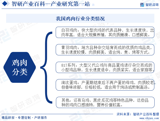 我国鸡肉行业分类情况