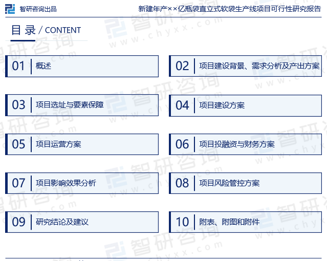 《新建年产××亿瓶袋直立式软袋生产线项目可行性研究报告》目录