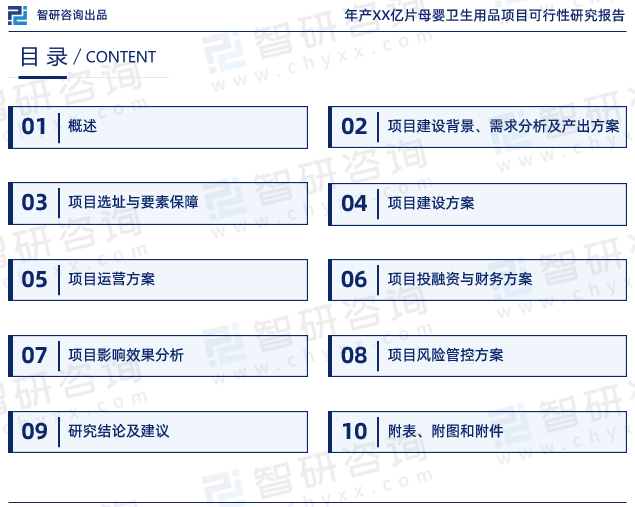 《年产XX亿片母婴卫生用品项目可行性研究报告》目录