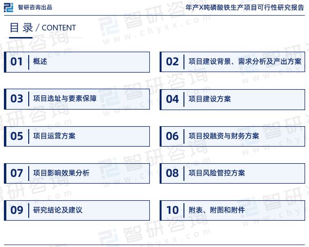 《年产X吨磷酸铁生产项目可行性研究报告》目录