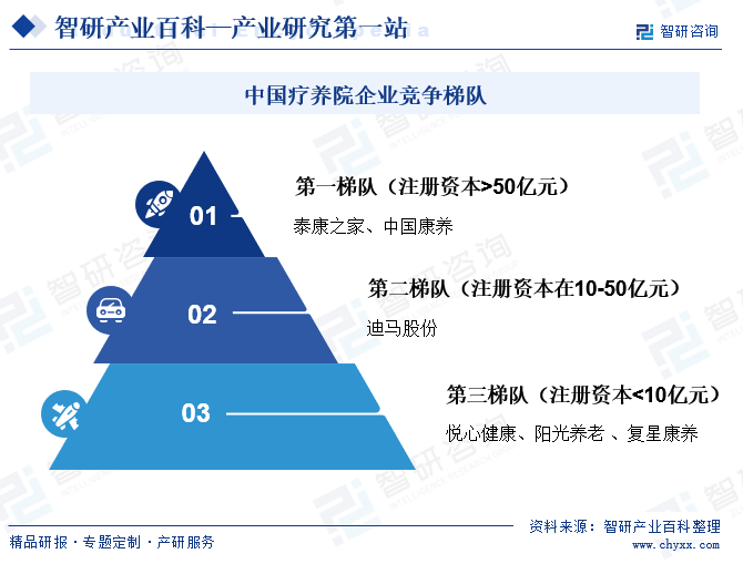 中国疗养院企业竞争梯队