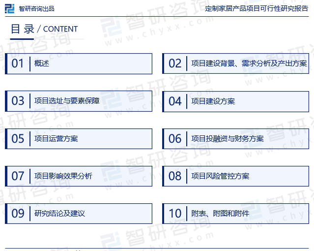 《定制家居产品项目可行性研究报告》目录