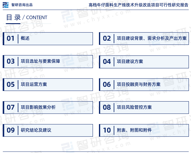 《高档牛仔面料生产线技术升级改造项目可行性研究报告》目录