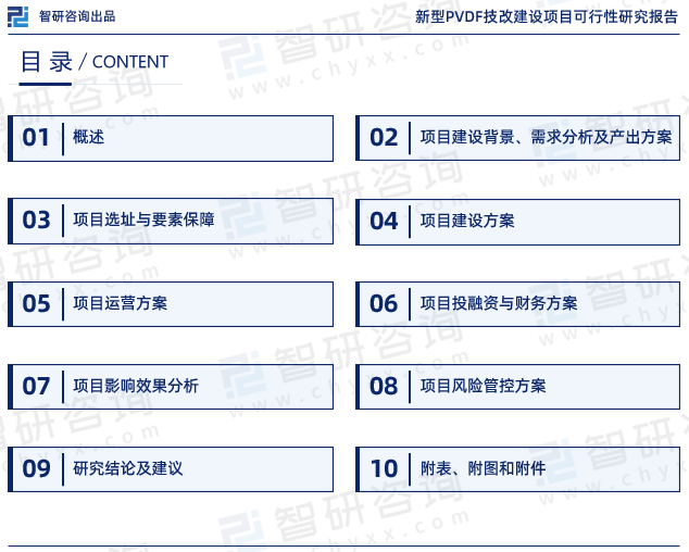 《新型PVDF技改建设项目可行性研究报告》目录