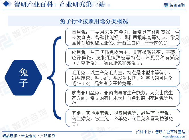 兔子行业按照用途分类概况