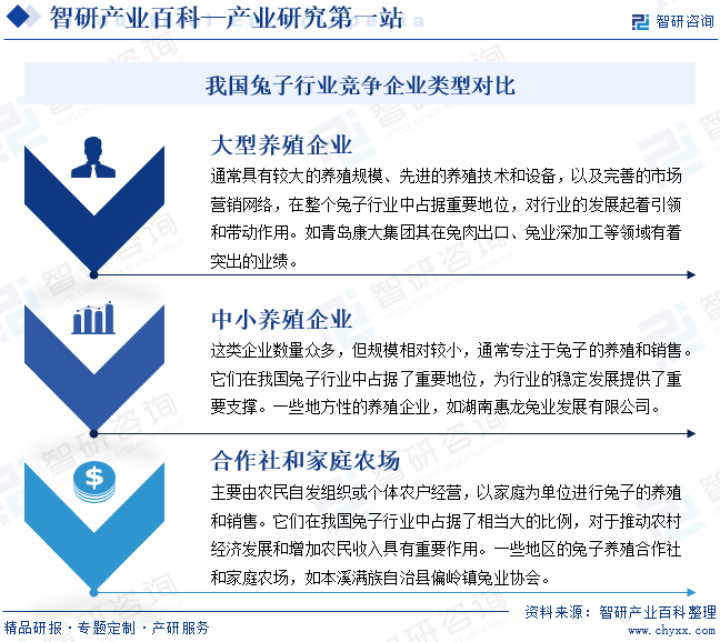 我国兔子行业竞争企业类型对比