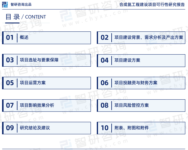 《合成氨工程建设项目可行性研究报告》目录