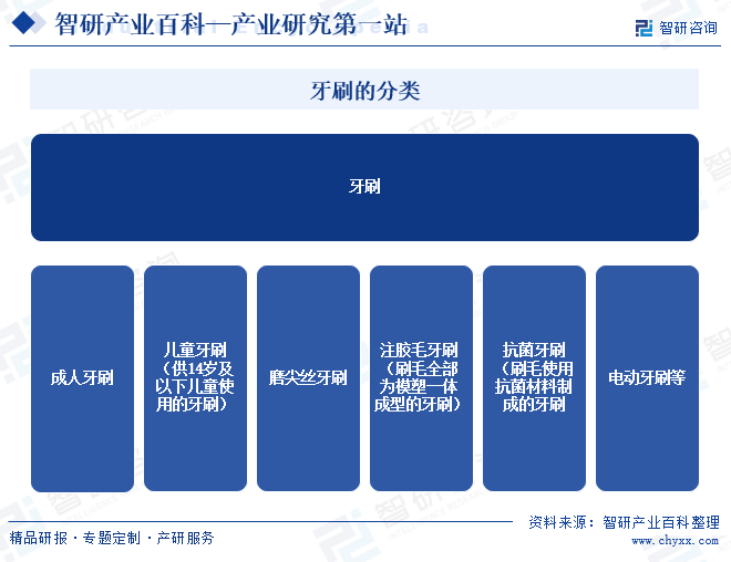 牙刷的分类