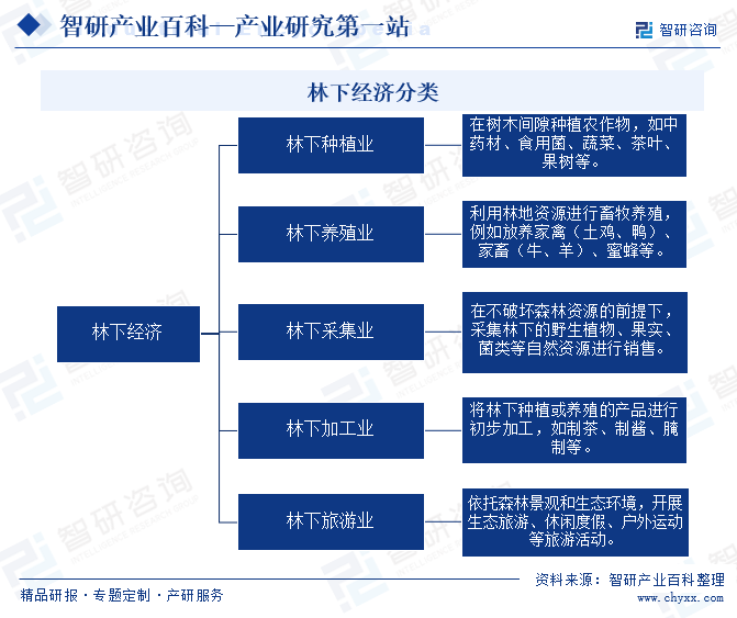 林下经济分类